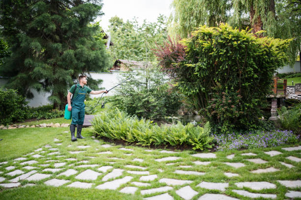 Best Exterminator Services  in Lumbine, CO